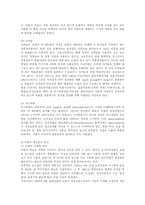 식품과 당질00 레포트-8