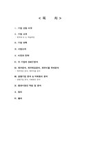 [재무관리] 풀무원과 CJ제일제당 기업 비교 분석(~2009)-2