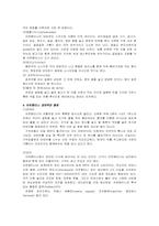 [관광과 외식문화] 아르헨티나 문화와 음식-3
