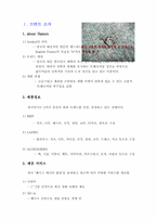 [마케팅 전략] LG패션-HAZZYS 기업분석-2