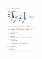 [국제기업환경] 자동차 생산 시스템 혁명(T.P.S의 한계와 제언)-5