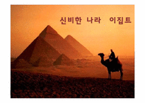 [국제기업환경] 이집트 비즈니스 환경과 진출 기업 사례 조사-1