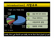 [국제기업환경] 이집트 비즈니스 환경과 진출 기업 사례 조사-7