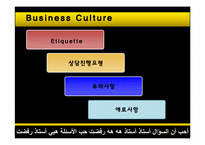 [국제기업환경] 이집트 비즈니스 환경과 진출 기업 사례 조사-13