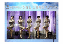 [경영학] 연예 기획사 마케팅 성공사례 JYP & SM-6