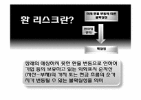 [국제경영] 국내기업들의 환 위기관리 현황과 사례(로만손, 태산LCD 기업 사례)-3