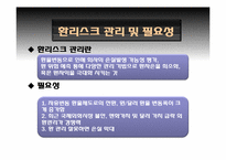 [국제경영] 국내기업들의 환 위기관리 현황과 사례(로만손, 태산LCD 기업 사례)-4