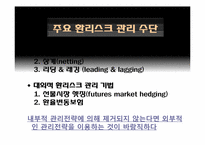 [국제경영] 국내기업들의 환 위기관리 현황과 사례(로만손, 태산LCD 기업 사례)-5
