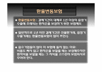 [국제경영] 국내기업들의 환 위기관리 현황과 사례(로만손, 태산LCD 기업 사례)-10