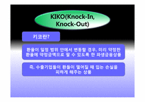 [국제경영] 국내기업들의 환 위기관리 현황과 사례(로만손, 태산LCD 기업 사례)-17