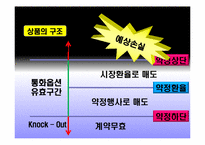 [국제경영] 국내기업들의 환 위기관리 현황과 사례(로만손, 태산LCD 기업 사례)-18