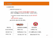 [인터넷 마케팅] 한화이글스 온라인 활동 분석 및 방안 제시-11