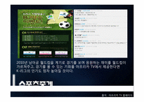 [E-business 이비지니스] 아프리카 TV의 BJ 마케팅 전략-12