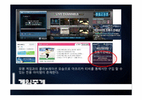 [E-business 이비지니스] 아프리카 TV의 BJ 마케팅 전략-15