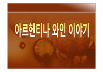 [관광과 외식문화] 아르헨티나 문화와 음식-19