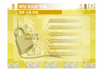 [경제학] 환율을 통해 보는 경제흐름-6