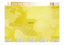 [경제학] 환율을 통해 보는 경제흐름-9