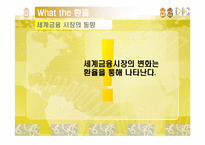 [경제학] 환율을 통해 보는 경제흐름-11
