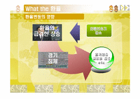 [경제학] 환율을 통해 보는 경제흐름-19