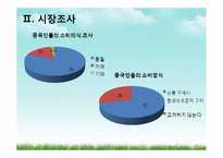 [무역상무론] LED 차량용 전구 중국시장 수출 전략-8