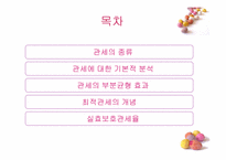 [국제무역론] 10장 관세론-2