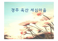 [관광마케팅] 지역 관광상품 -경주세심마을의 관광 마케팅-1