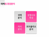 [경영학] 마케팅 거시환경 3C 분석 - 경쟁분석, 경쟁사의 특성, 자사분석, 포트폴리오 분석-2