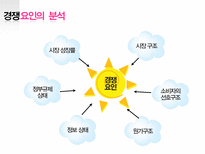 [경영학] 마케팅 거시환경 3C 분석 - 경쟁분석, 경쟁사의 특성, 자사분석, 포트폴리오 분석-4