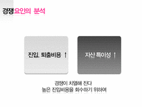 [경영학] 마케팅 거시환경 3C 분석 - 경쟁분석, 경쟁사의 특성, 자사분석, 포트폴리오 분석-9