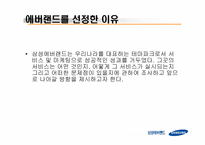 [마케팅 전략] 에버랜드의 마케팅 전략-3