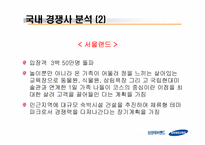 [마케팅 전략] 에버랜드의 마케팅 전략-13