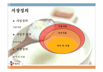 [마케팅 전략] CJ제일제당 즉석 죽 시장 공략을 위한 신제품 STP 전략-3