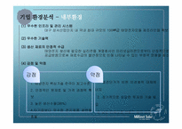 [글로벌 경영] 미리넷솔라의 아프리카시장진출을 통해 살펴본 국제경영전략-10