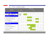 [컨벤션 기획] 제4회 HIMSS AsiaPac 2010 의료정보학회 행사 기획서-17