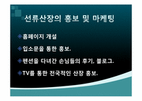 [서비스 경영] 펜션 `선류산장` 홍보 및 마케팅 전략-5