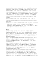 [국제무역] 한국의 대 베트남 무역 분석-12