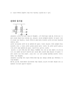 갈릴레오 갈릴레이의 생애와 업적-8