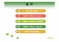 [사회학] 로컬 거버넌스(Local governance)- 안양천 수질개선 사례를 중심으로-2
