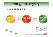 [사회학] 로컬 거버넌스(Local governance)- 안양천 수질개선 사례를 중심으로-11