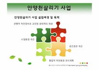 [사회학] 로컬 거버넌스(Local governance)- 안양천 수질개선 사례를 중심으로-19
