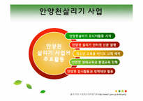 [사회학] 로컬 거버넌스(Local governance)- 안양천 수질개선 사례를 중심으로-20