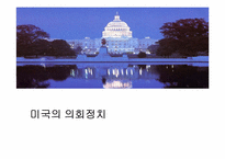 [비교정치론] 미국의 의회정치-1