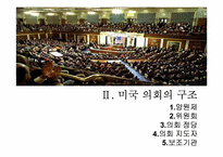 [비교정치론] 미국의 의회정치-7