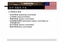 [비교정치론] 미국의 의회정치-9