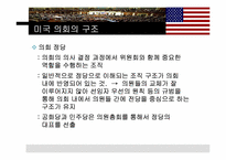[비교정치론] 미국의 의회정치-11