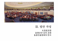 [비교정치론] 미국의 의회정치-14