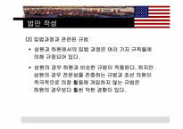 [비교정치론] 미국의 의회정치-17