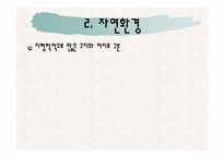 [식생활문화] 브라질의 식생활 문화와 식습관 조사-5
