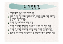 [식생활문화] 브라질의 식생활 문화와 식습관 조사-8