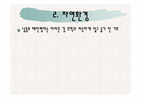[식생활문화] 브라질의 식생활 문화와 식습관 조사-9